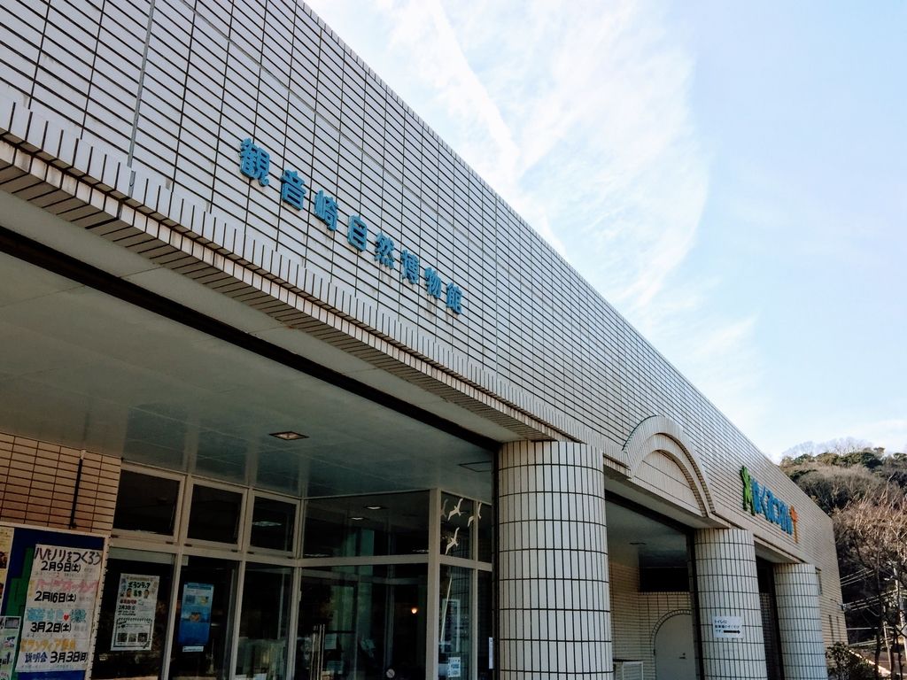 f:id:oh_ocean:20190223211633j:plain f:id:oh_ocean:20190223211633j:plain