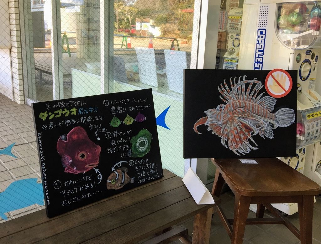 f:id:oh_ocean:20190223211638j:plain f:id:oh_ocean:20190223211638j:plain
