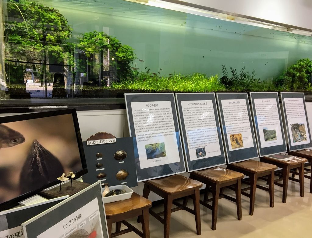 f:id:oh_ocean:20190223211646j:plain f:id:oh_ocean:20190223211646j:plain