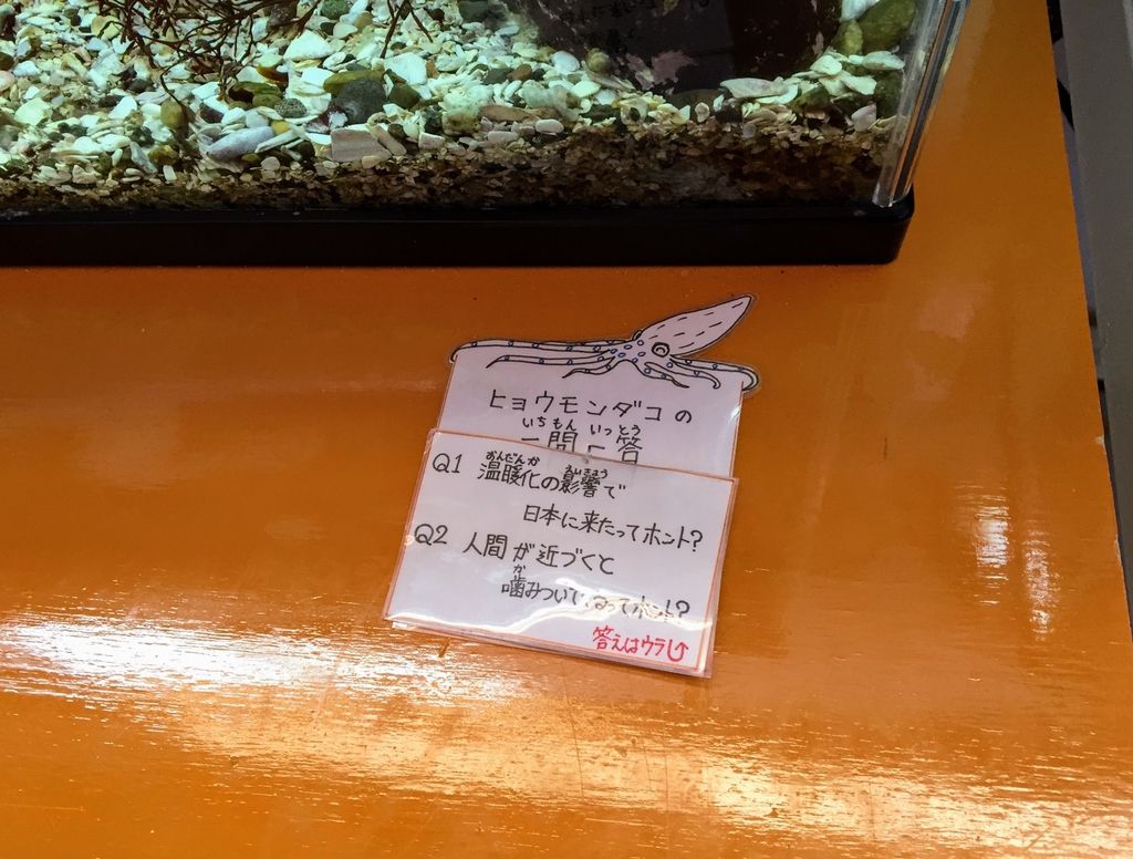 f:id:oh_ocean:20190223211720j:plain f:id:oh_ocean:20190223211720j:plain