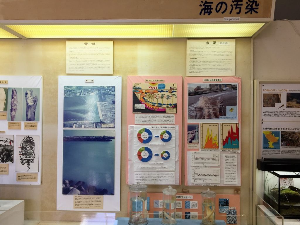 f:id:oh_ocean:20190223211749j:plain f:id:oh_ocean:20190223211749j:plain