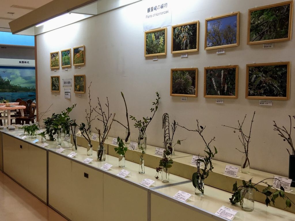 f:id:oh_ocean:20190223211822j:plain f:id:oh_ocean:20190223211822j:plain