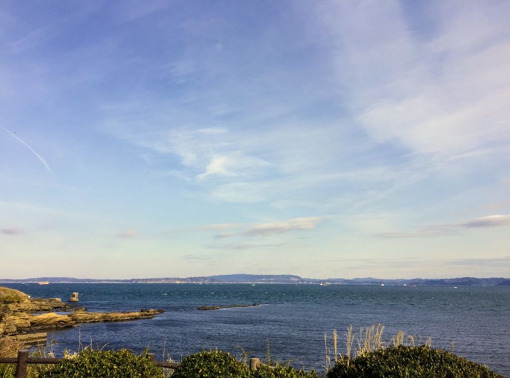 f:id:oh_ocean:20190223211826j:plain f:id:oh_ocean:20190223211826j:plain