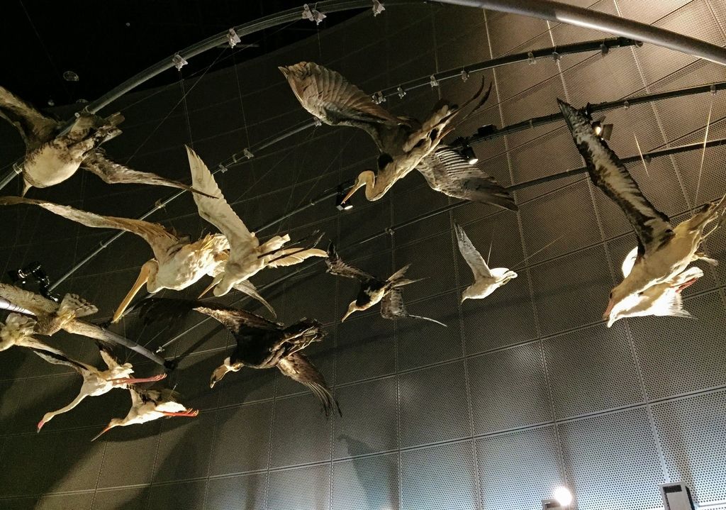 f:id:oh_ocean:20190310180704j:plain f:id:oh_ocean:20190310180704j:plain