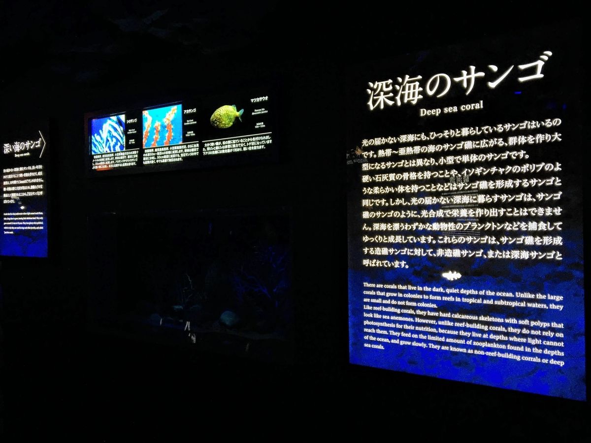 f:id:oh_ocean:20190520142950j:plain