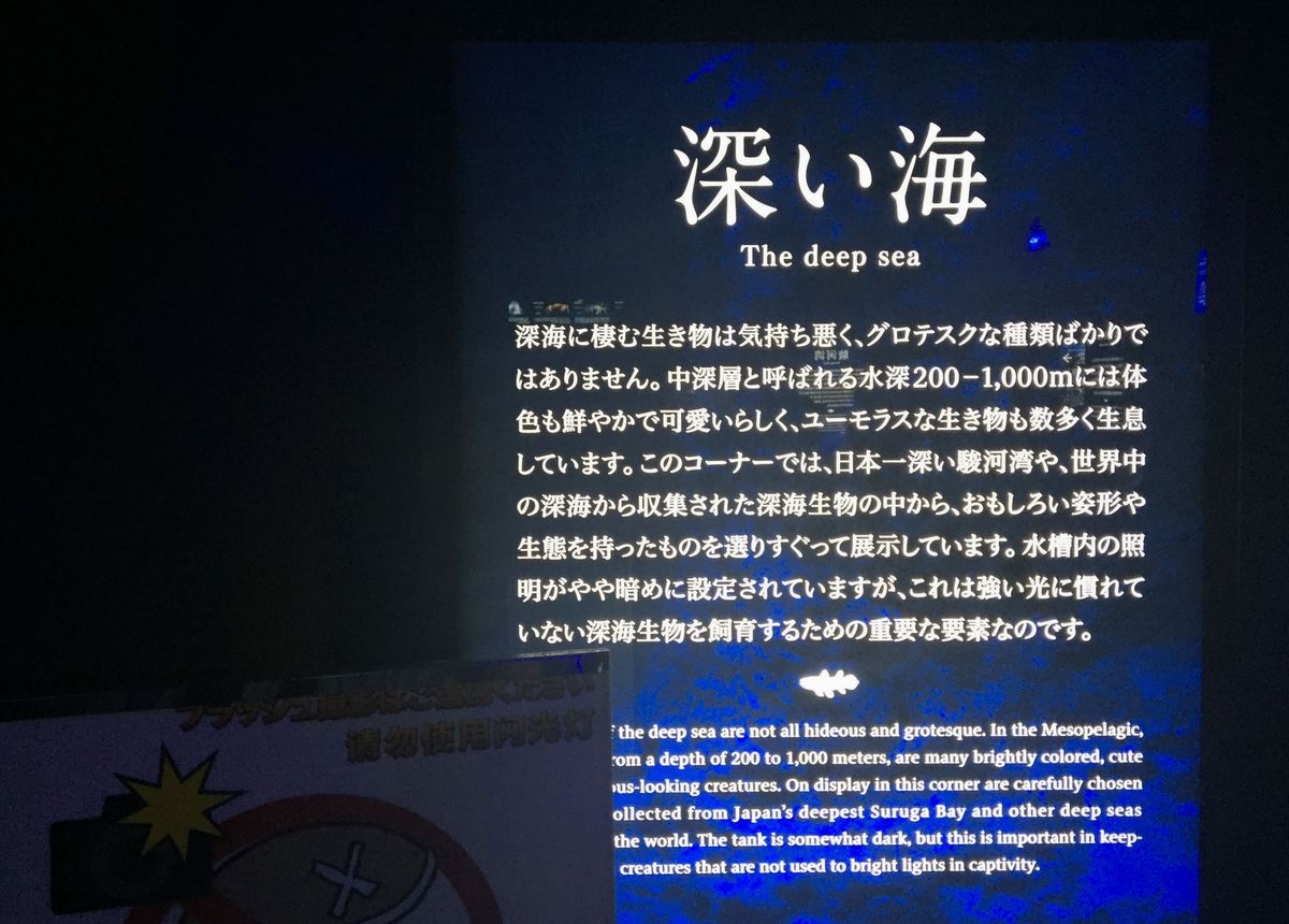 f:id:oh_ocean:20190520143035j:plain f:id:oh_ocean:20190520143035j:plain