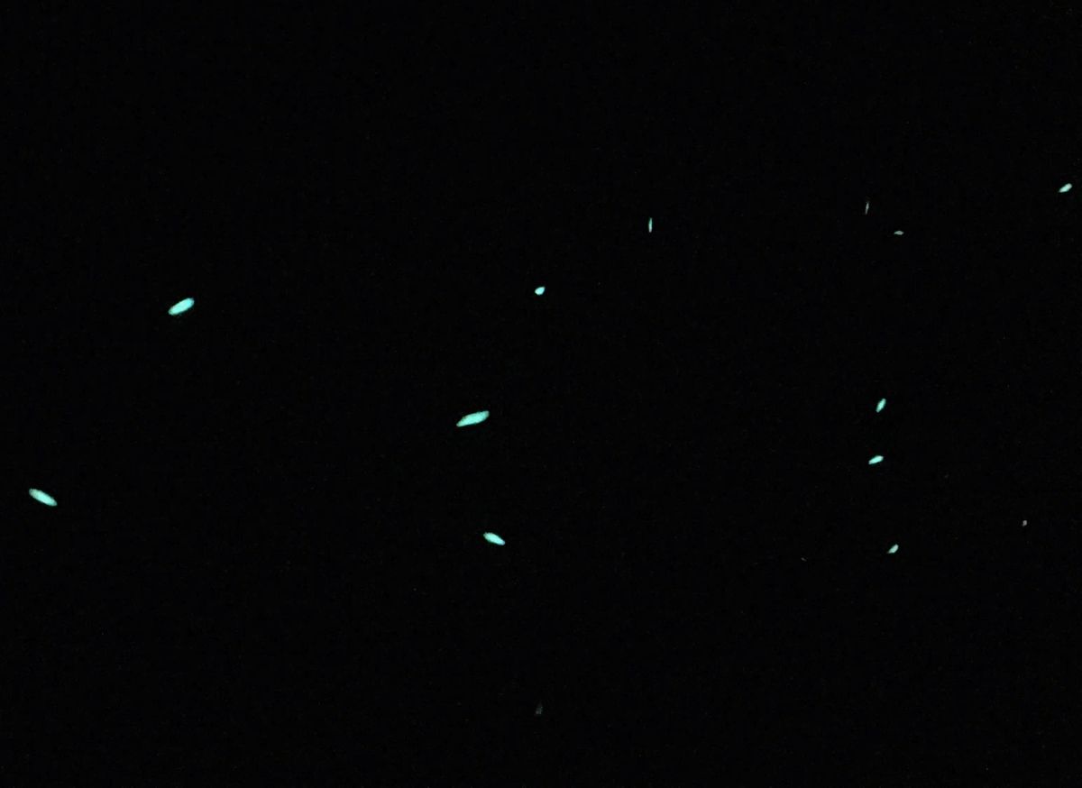 f:id:oh_ocean:20190520144048j:plain f:id:oh_ocean:20190520144048j:plain