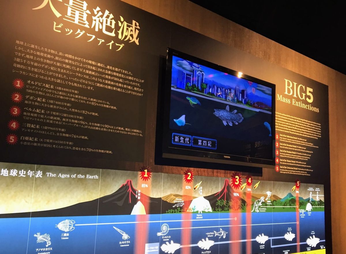 f:id:oh_ocean:20190520144103j:plain f:id:oh_ocean:20190520144103j:plain