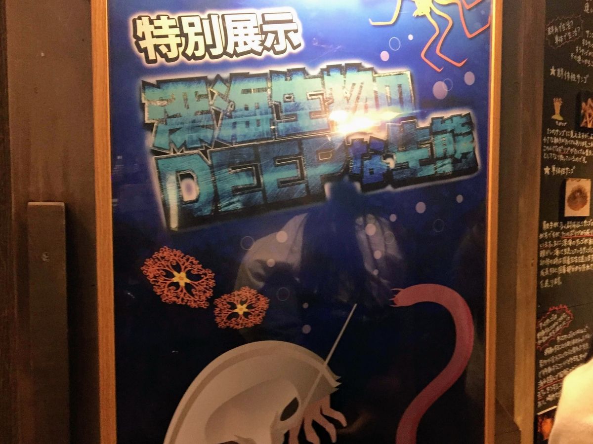 f:id:oh_ocean:20190520144134j:plain f:id:oh_ocean:20190520144134j:plain