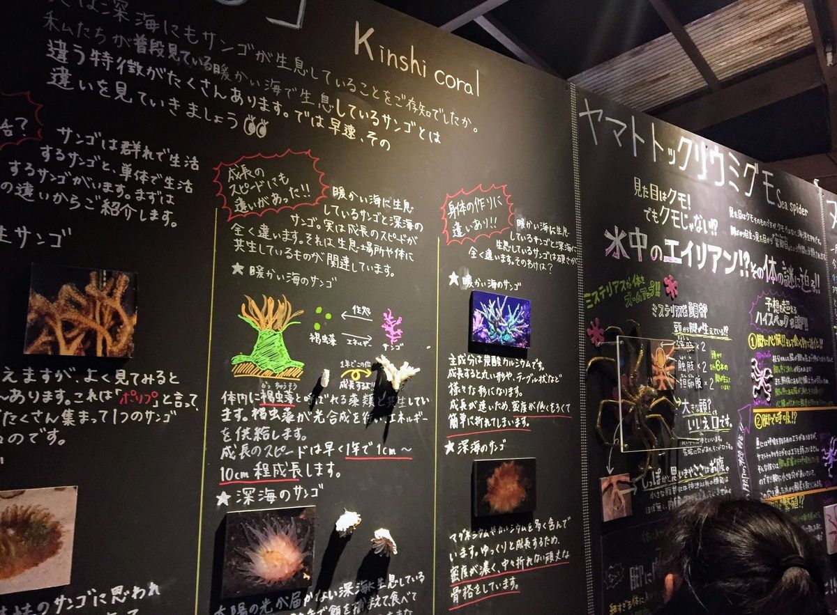 f:id:oh_ocean:20190520144143j:plain f:id:oh_ocean:20190520144143j:plain