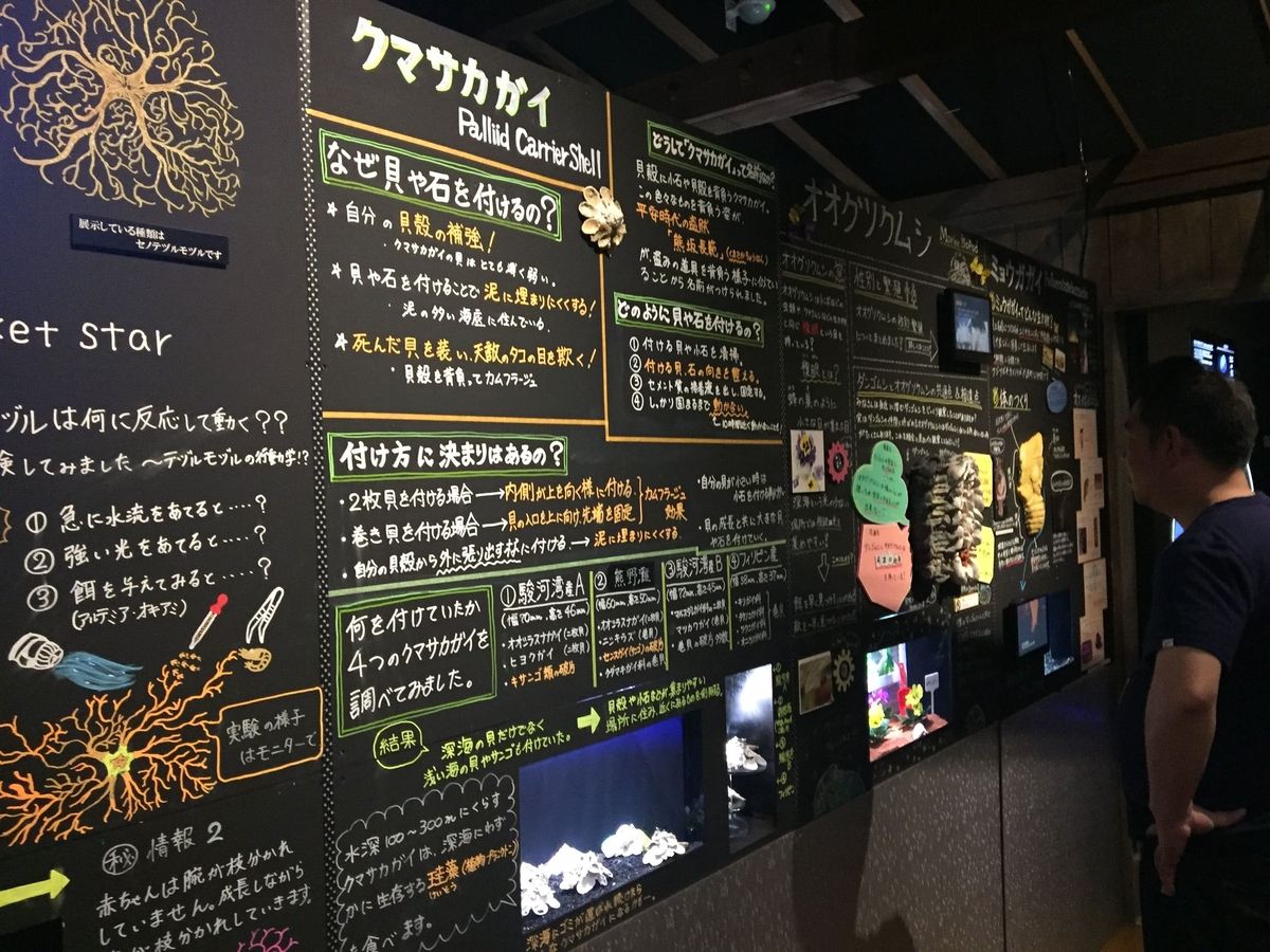 f:id:oh_ocean:20190520144212j:plain