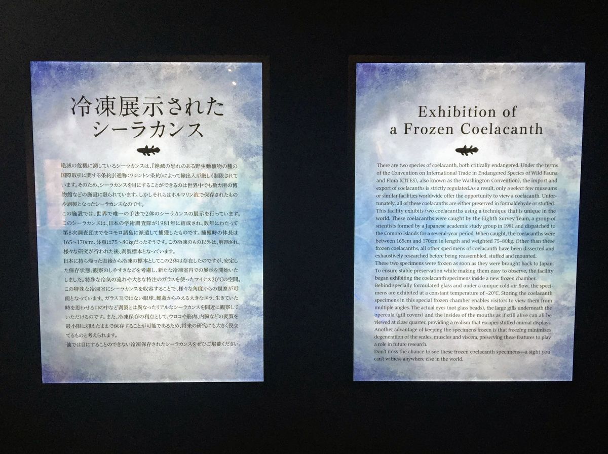 f:id:oh_ocean:20190716163248j:plain f:id:oh_ocean:20190716163248j:plain
