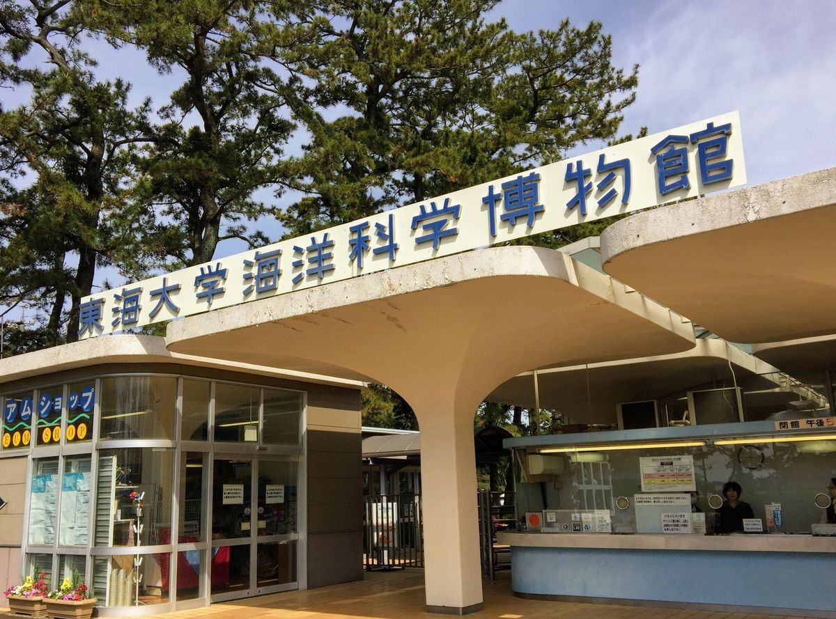 f:id:oh_ocean:20190610194649j:plain 東海大学海洋科学博物館の見どころ