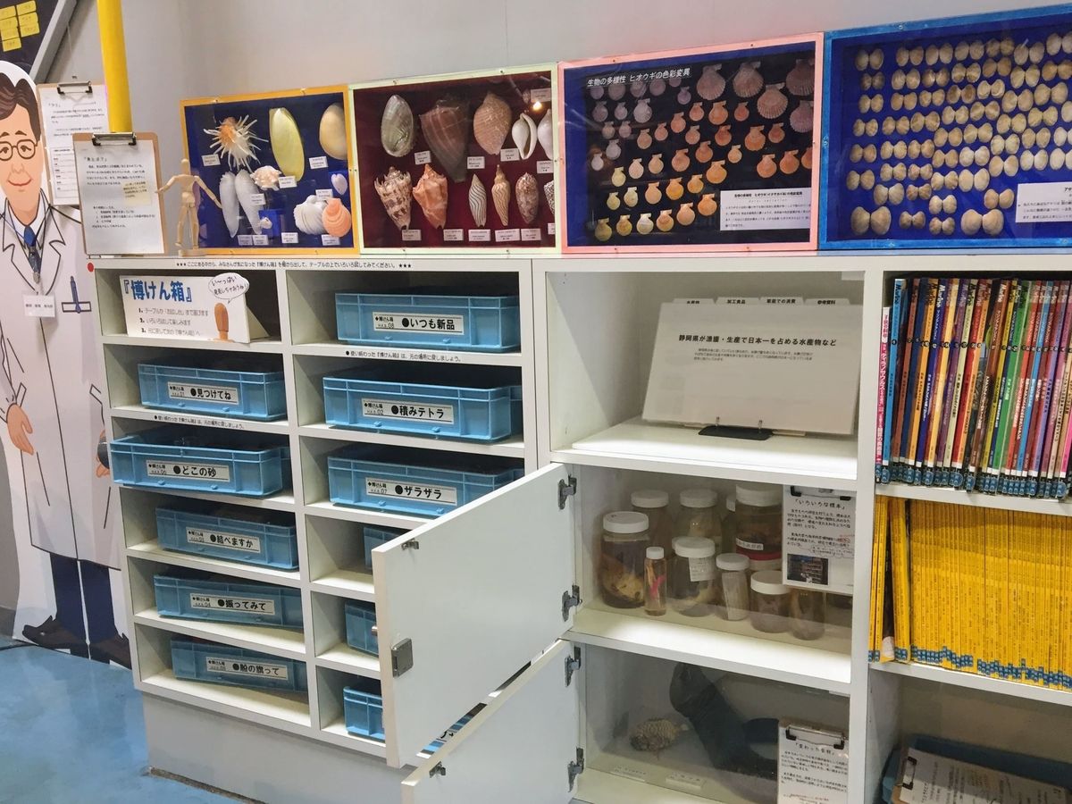 f:id:oh_ocean:20190610195027j:plain 東海大学海洋科学博物館の見どころ