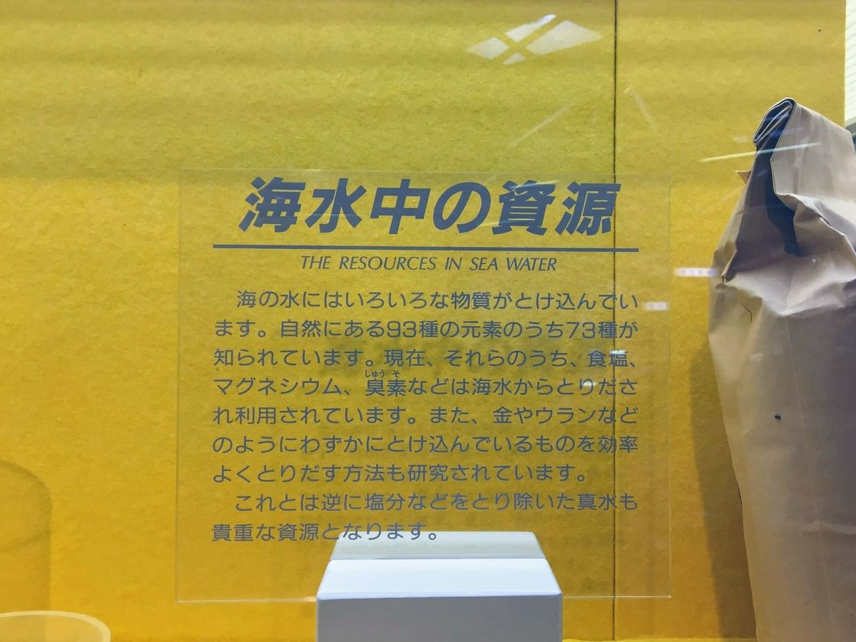 f:id:oh_ocean:20190610195040j:plain 東海大学海洋科学博物館の見どころ