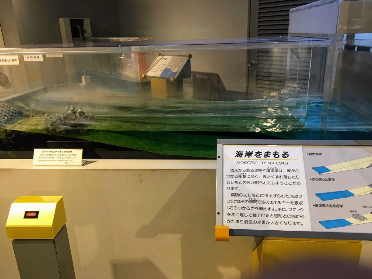 f:id:oh_ocean:20190610195101j:plain 東海大学海洋科学博物館の見どころ