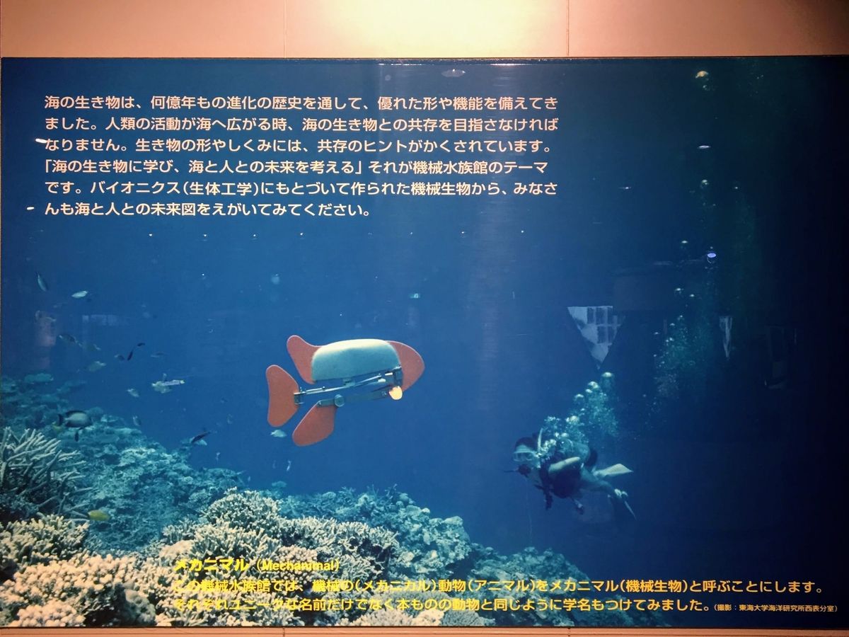 f:id:oh_ocean:20190610195230j:plain 東海大学海洋科学博物館の見どころ