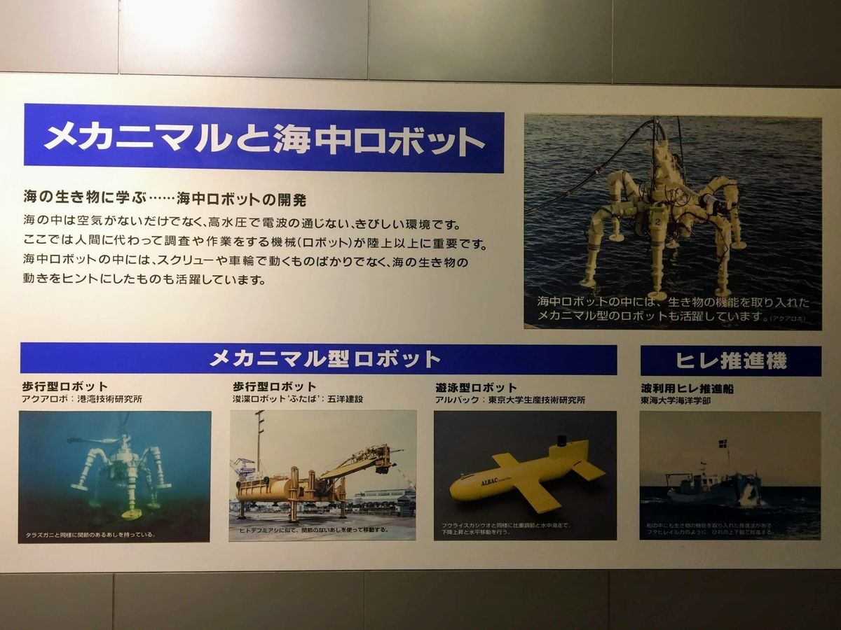 f:id:oh_ocean:20190610195251j:plain 東海大学海洋科学博物館の見どころ