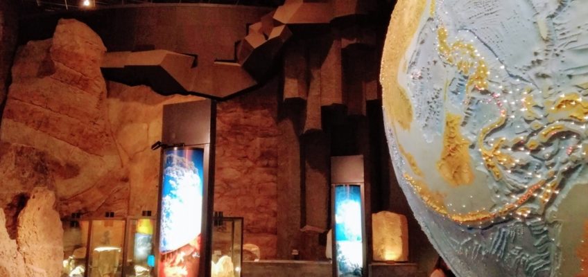 【神奈川県小田原市】生命の星・地球博物館に行ってみた｜海を知るために、地球全体を過去から現在まで幅広く知ろう！