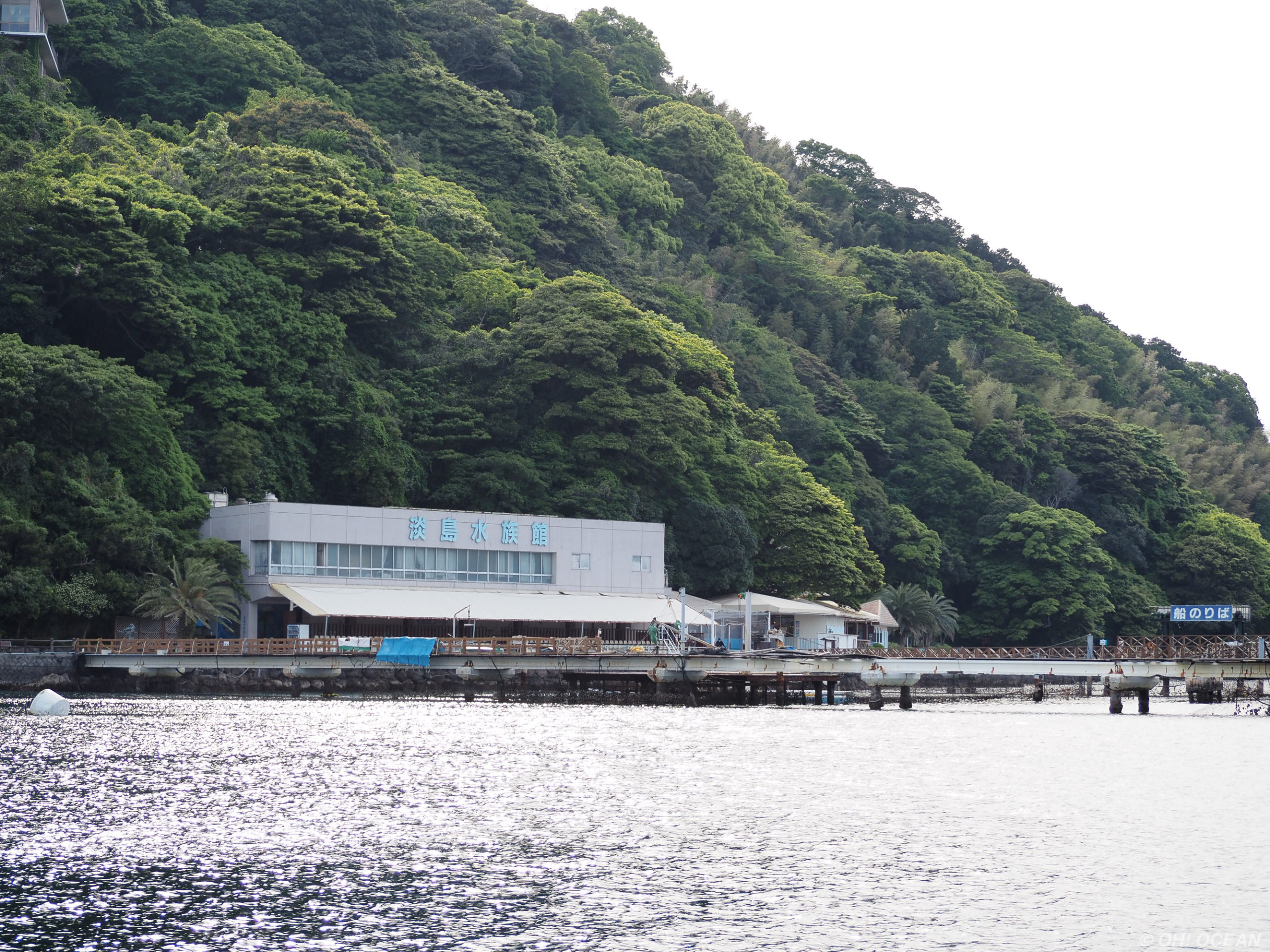渡し船で行く水族館、魅力は島全体にあった＋写真39枚【静岡県沼津市・あわしまマリンパーク】